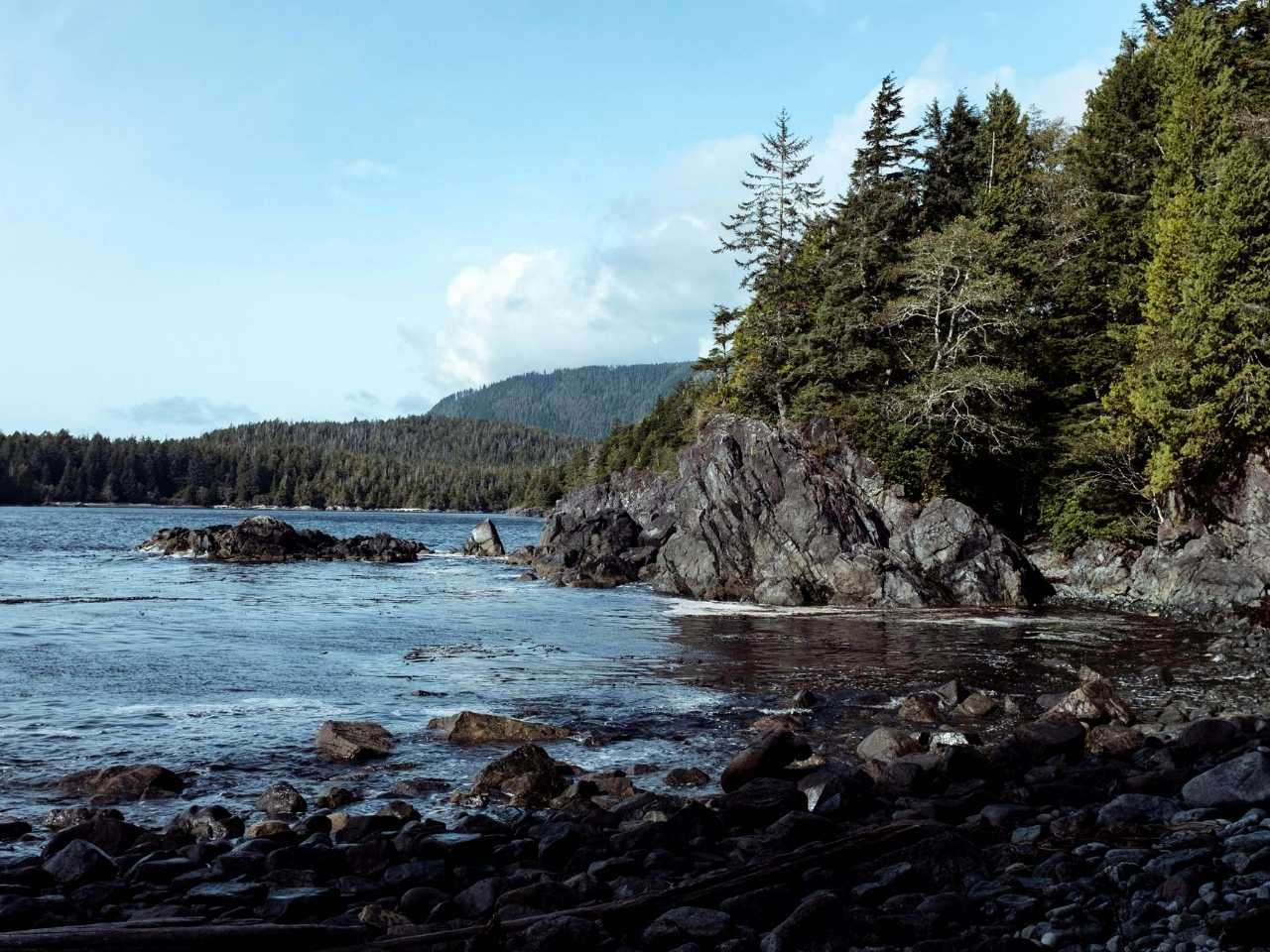 rocky shoreline and dense evergreen forests frame a secluded bay on vancouver island, with the wild pacific ocean meeting rugged terrain—raw, west coast beauty in full force