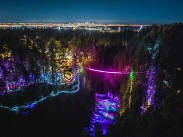 aerial view of capilano suspension bridge love lights night