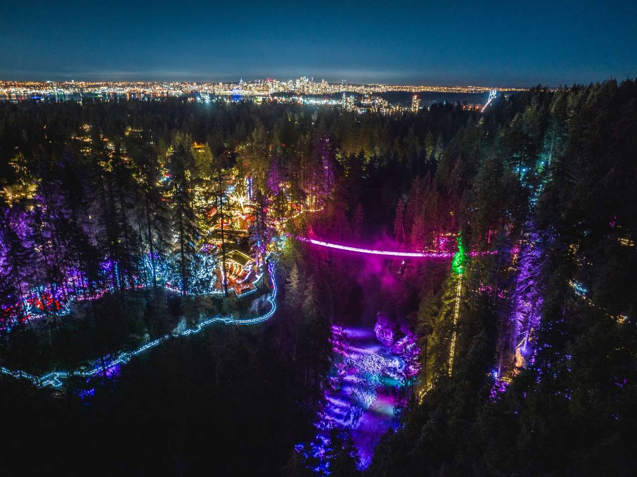 aerial view of capilano suspension bridge love lights night