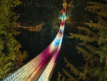 capilano suspension bridge lit up at night